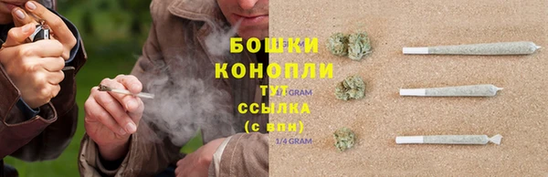 сатива Верхний Тагил