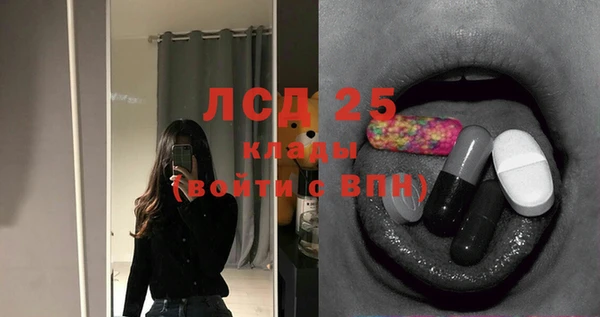 эйфоретик Бородино