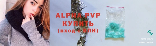 PSILOCYBIN Верея