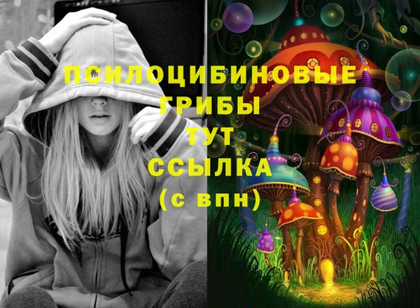 PSILOCYBIN Верея