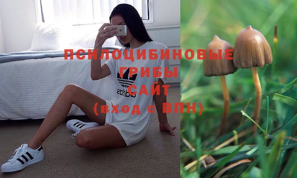 сатива Верхний Тагил