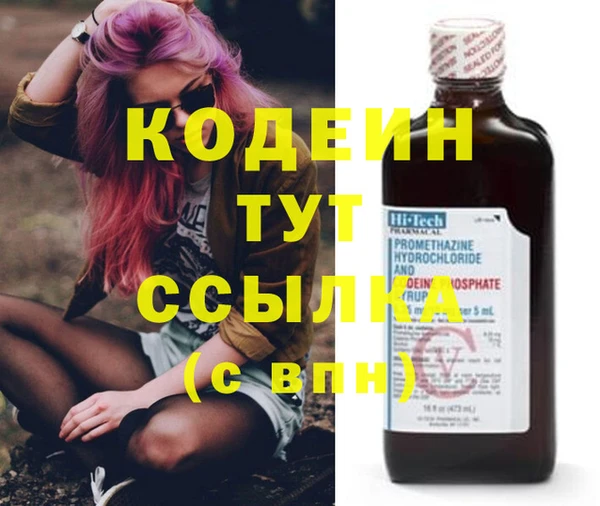 эйфоретик Бородино