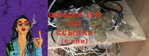 эйфоретик Бородино