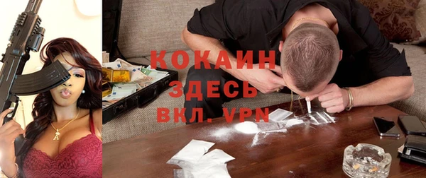 эйфоретик Бородино