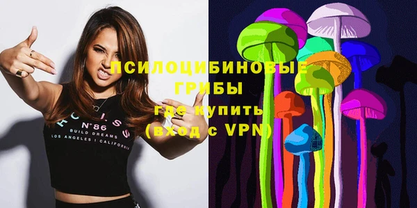 эйфоретик Бородино