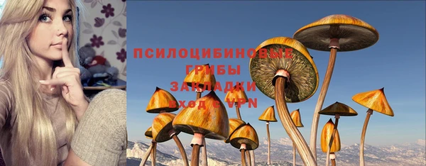 эйфоретик Бородино