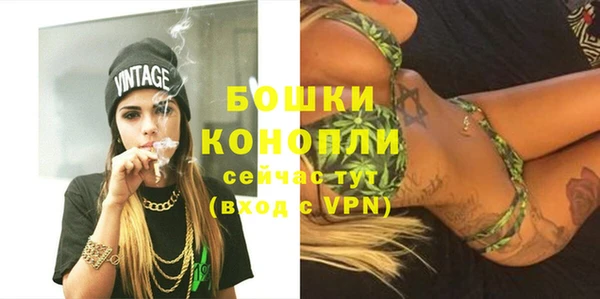 PSILOCYBIN Верея